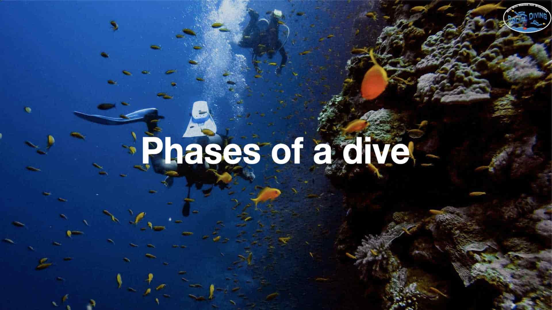 Phases of a dive