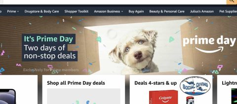 Die besten Amazon Prime Day Deals für Taucher