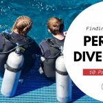 Finding the perfect Dive Buddy: 10 Tips