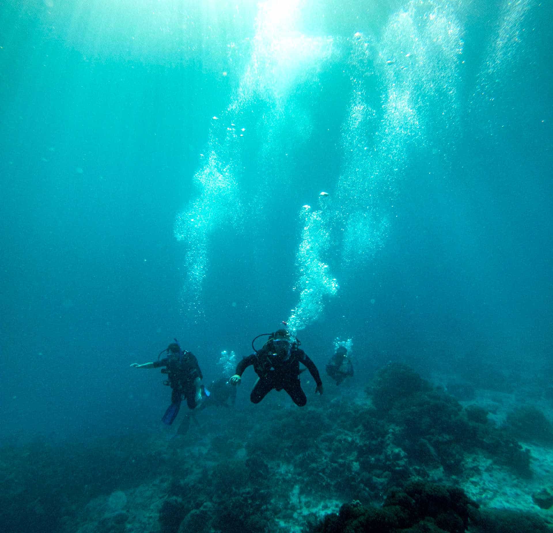 Dive group underwater.