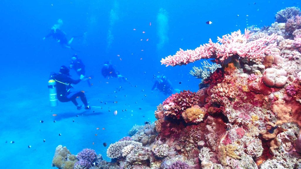 Dive Guide führt Gruppe unter Wasser