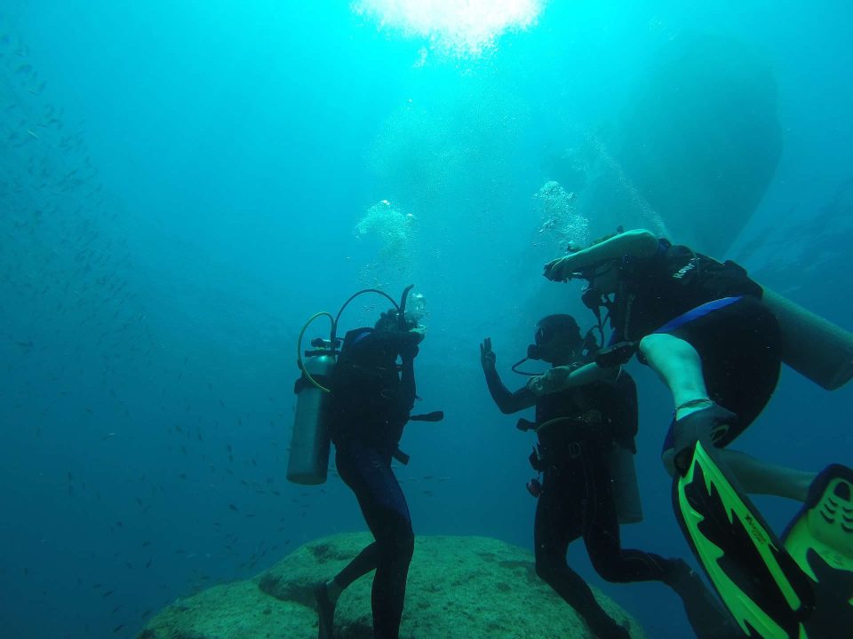 Dive instructor with students