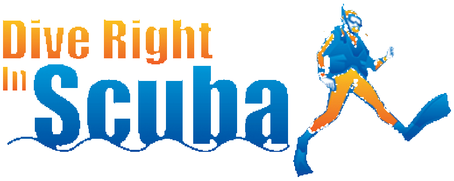 Dive Right in Scuba logo