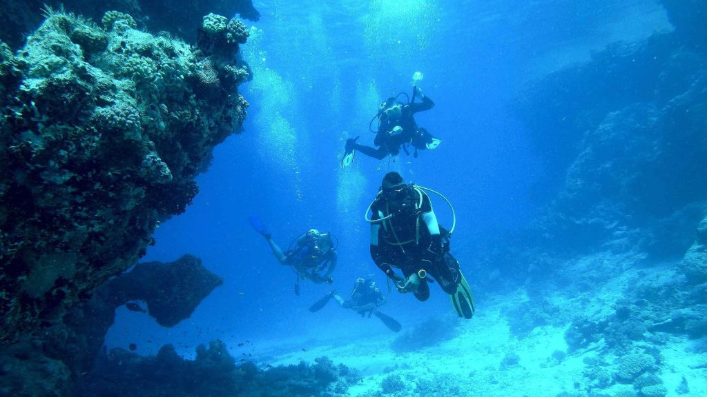 Divemaster leading group