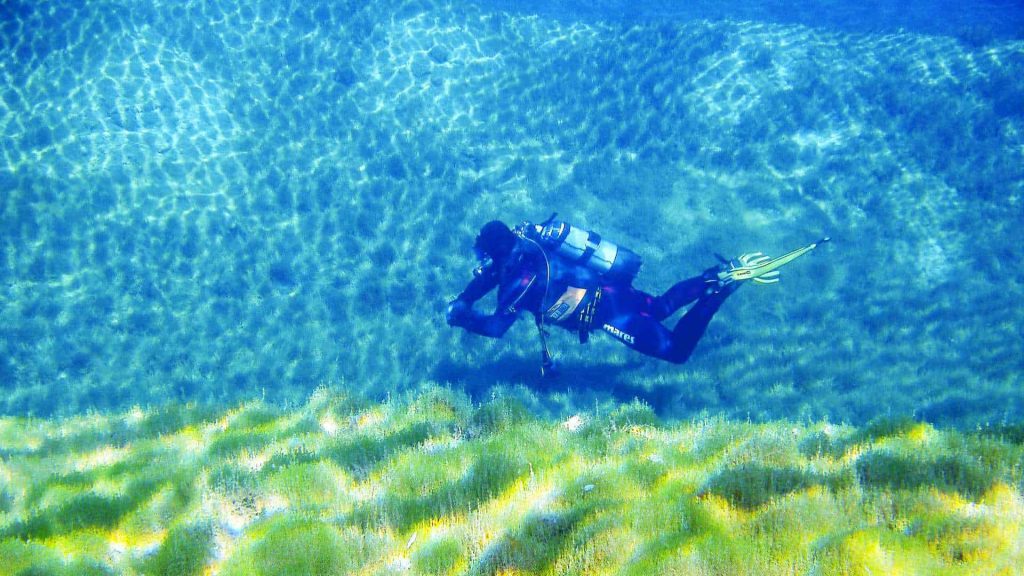 Diver underwater in lake