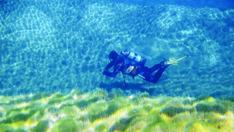 Diver underwater in lake