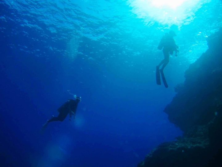 Two scuba divers ascending to surface