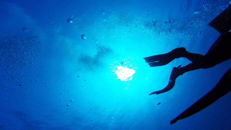 Scuba divers underwater