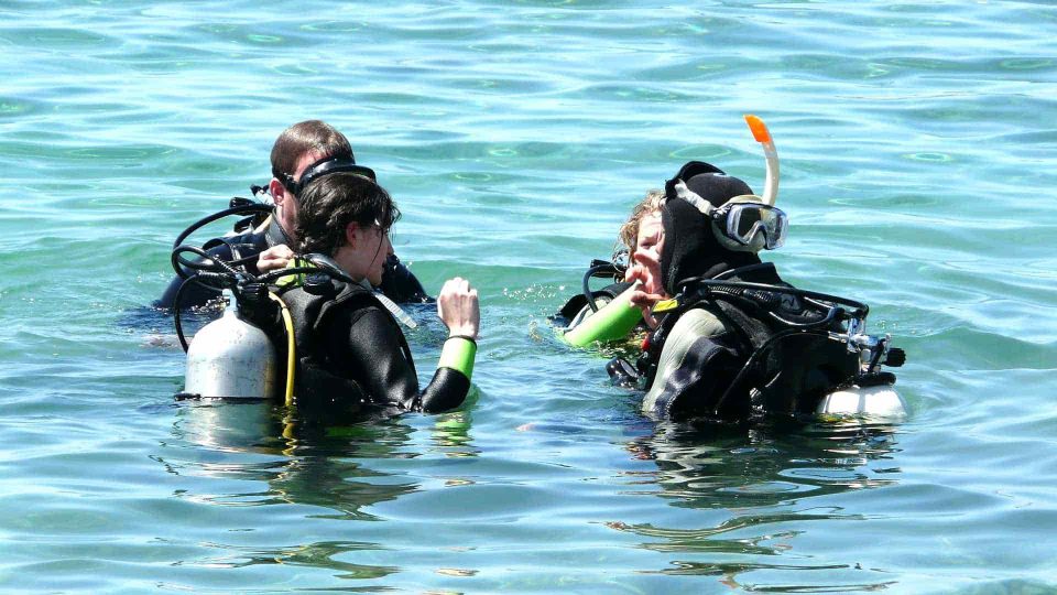 Diving group at shore