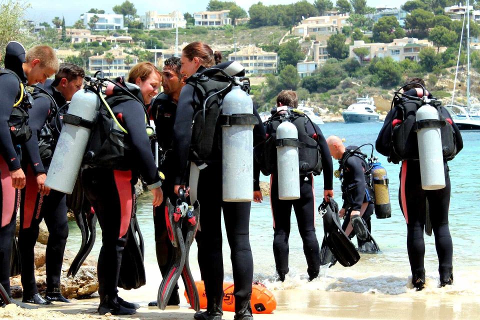 Große Gruppe Taucher am Strand