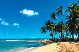 Sandy beach in the Dominican Republic