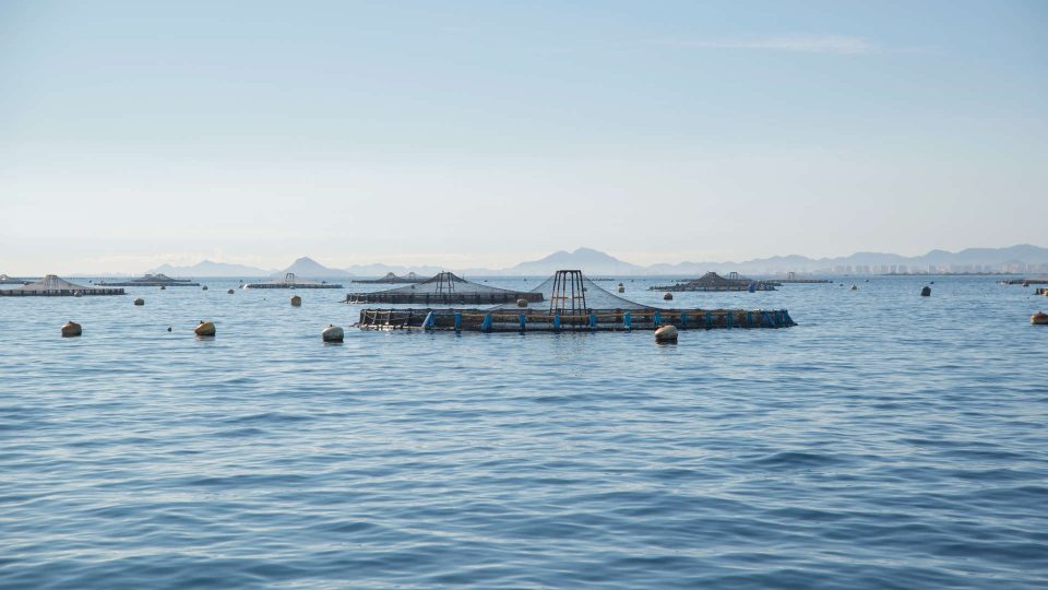 Fish farm in Spain