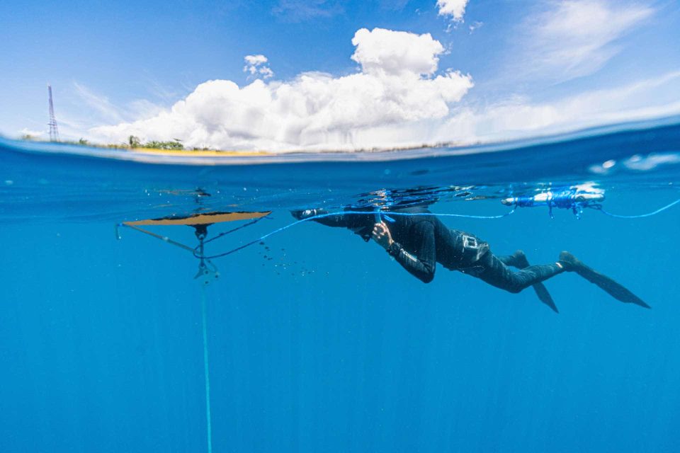 Freediver at surface next to buoy and line