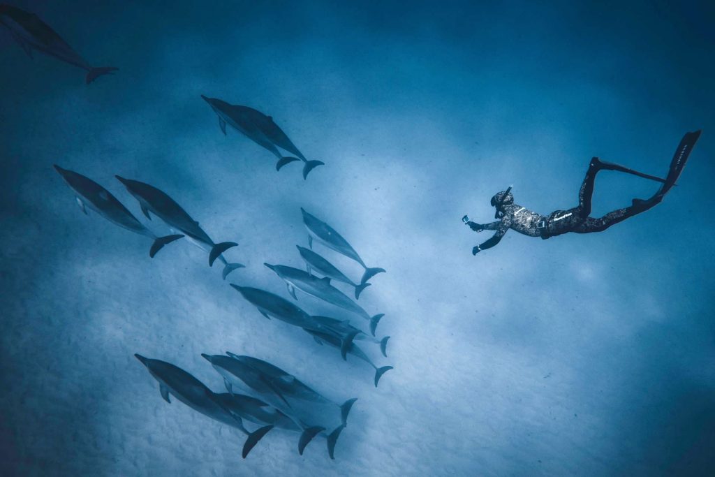 Freediver with group of dolphins