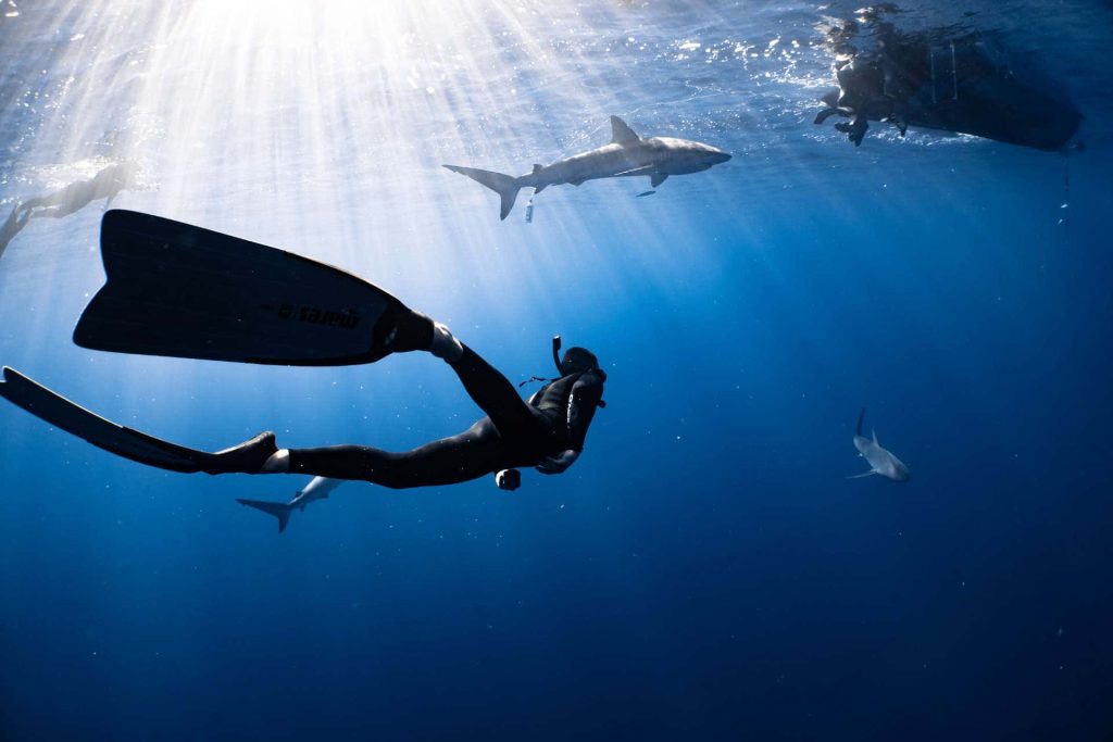 Freedivers swimming with sharks underwater