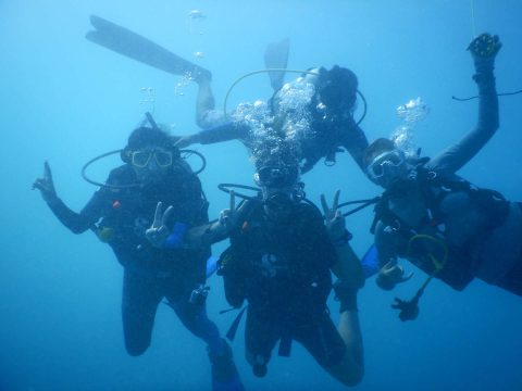 Family Dive Vacation Guide 2025 – The 10 Best Spots and What You Need to Know