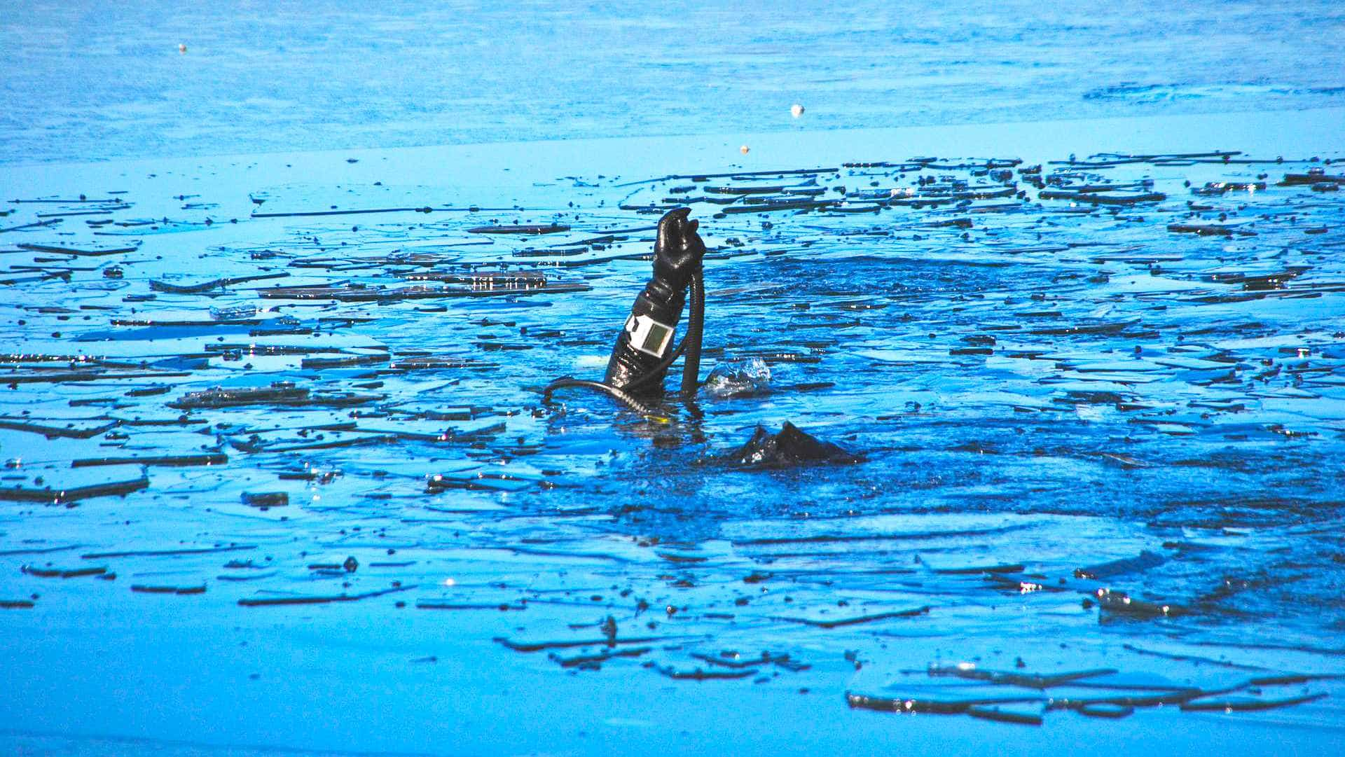 Scuba diver descending under ice.