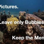 Take pictures. Leave only bubbles. Keep the memories.