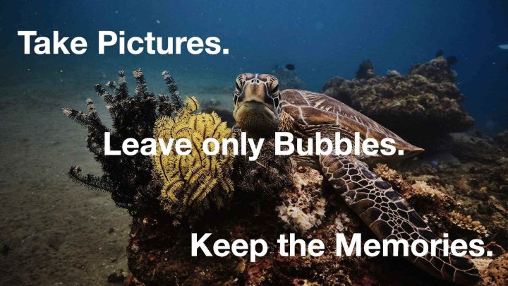 Take pictures. Leave only bubbles. Keep the memories.