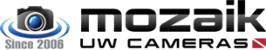 Mozaik UW Cameras logo