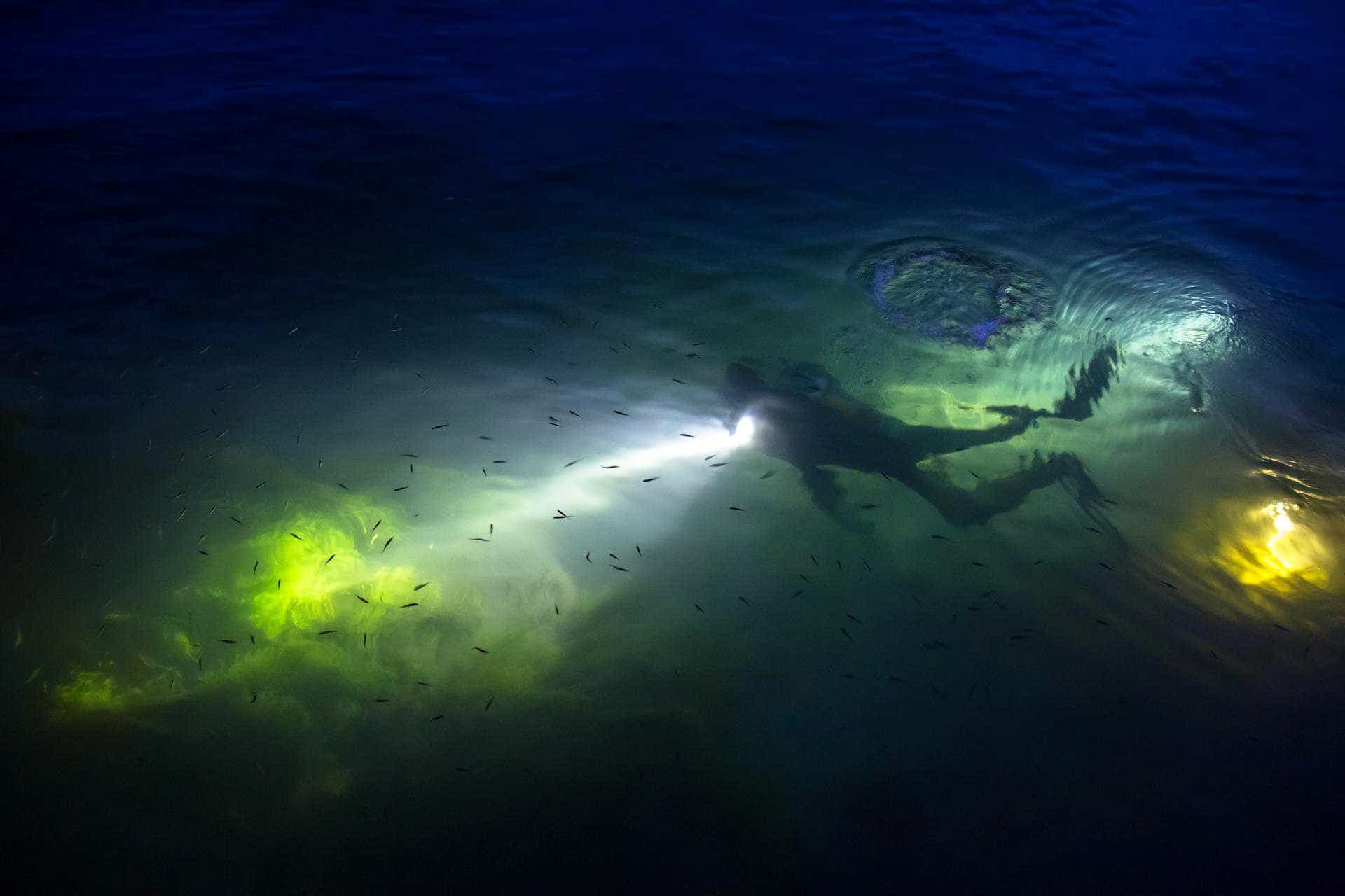 Taucher unter Wasser mit Licht bei Nacht