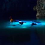 Group of divers at night