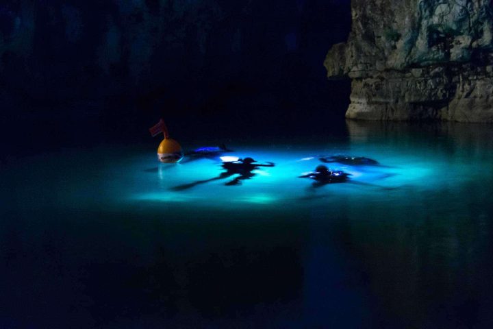 Gruppe Taucher unter Wasser bei Nacht