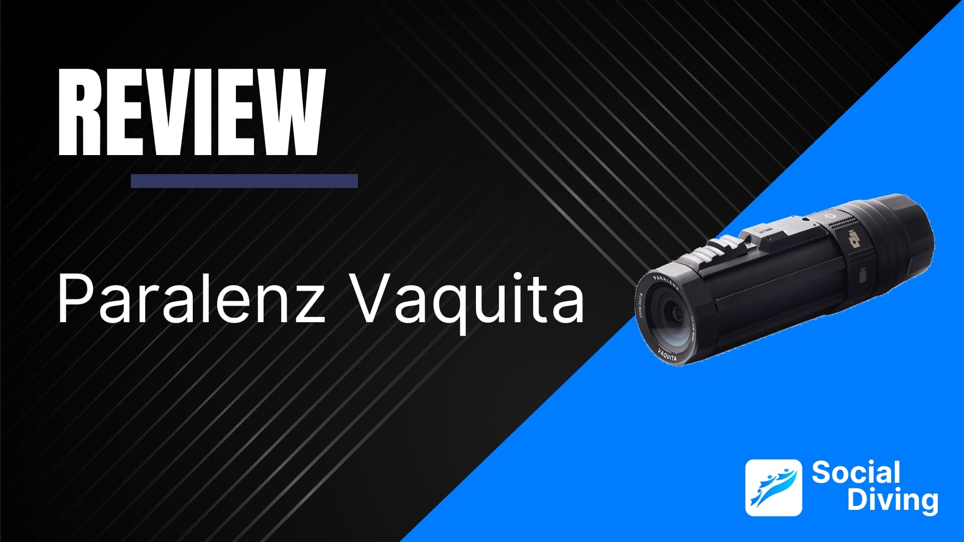 Paralenz Vaquita review