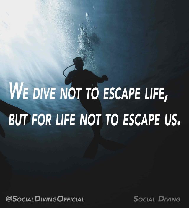 We dive not to escape life, but for life not to escape us