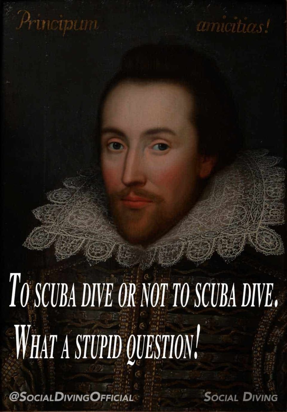 To scuba dive or not to scuba dive. What a stupid question!