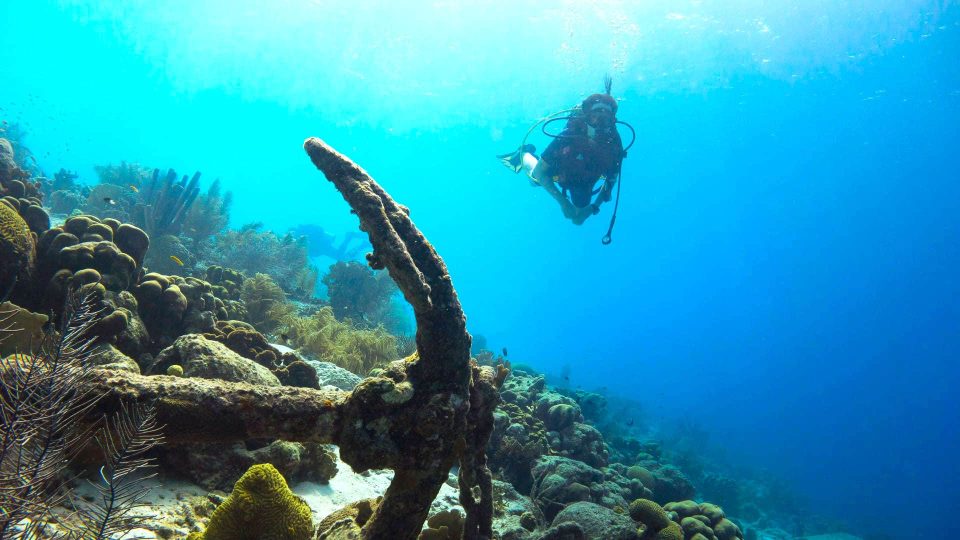 Scuba diver diving on reef and anchor