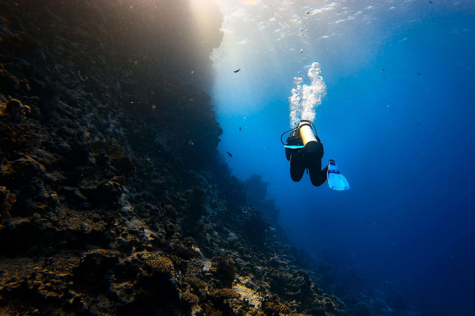 Lone scuba diver beside reef
