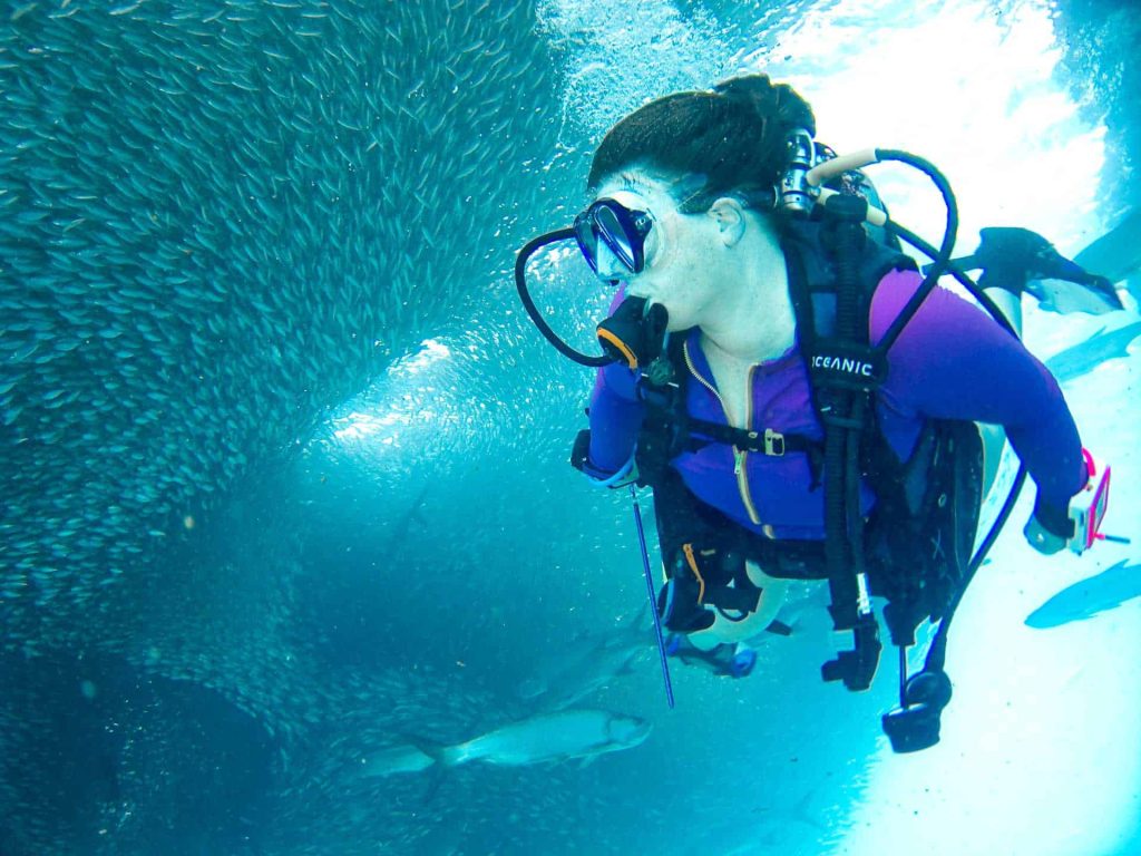 Woman diving through bait ball of fish