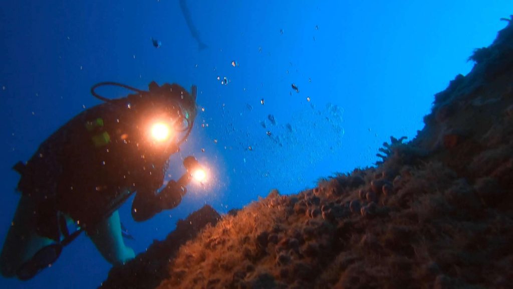 Scuba diver shining dive torches