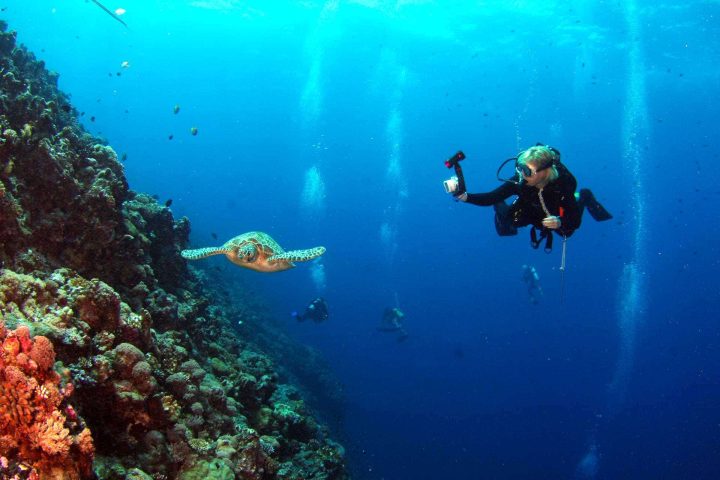 Scuba diver filming turtle on reef