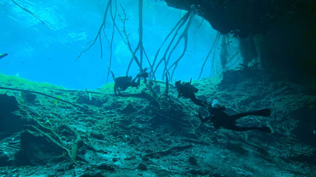 Scuba diver group exiting cavern