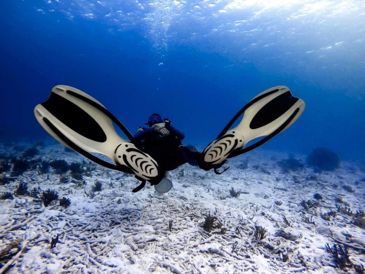Scuba diver hovering on back relaxing