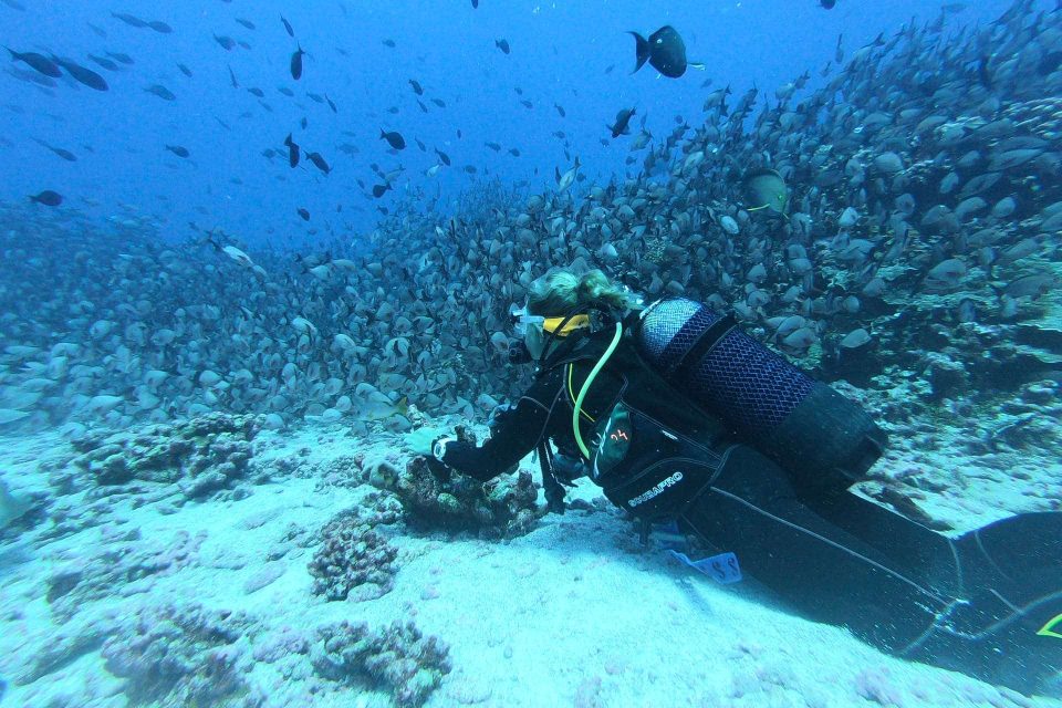 Scuba diver laying on seafloor
