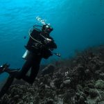 Scuba diver looking up on reef