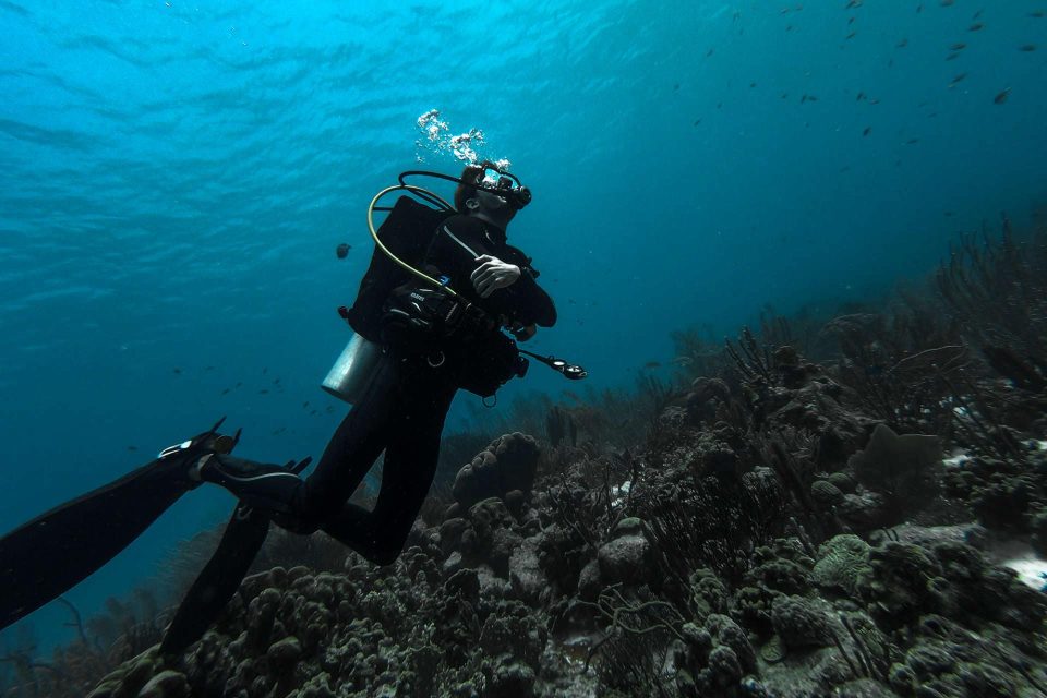 Scuba diver looking up on reef