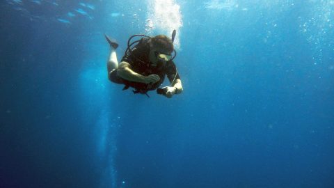 Budget diving: 10 tips to save money as a scuba diver in 2025
