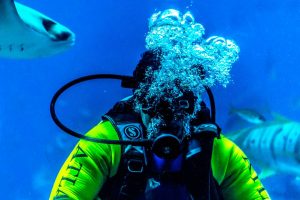 Taucher atmet durch Atemregler unter Wasser