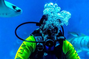 Scuba diver breathing through regulator underwater