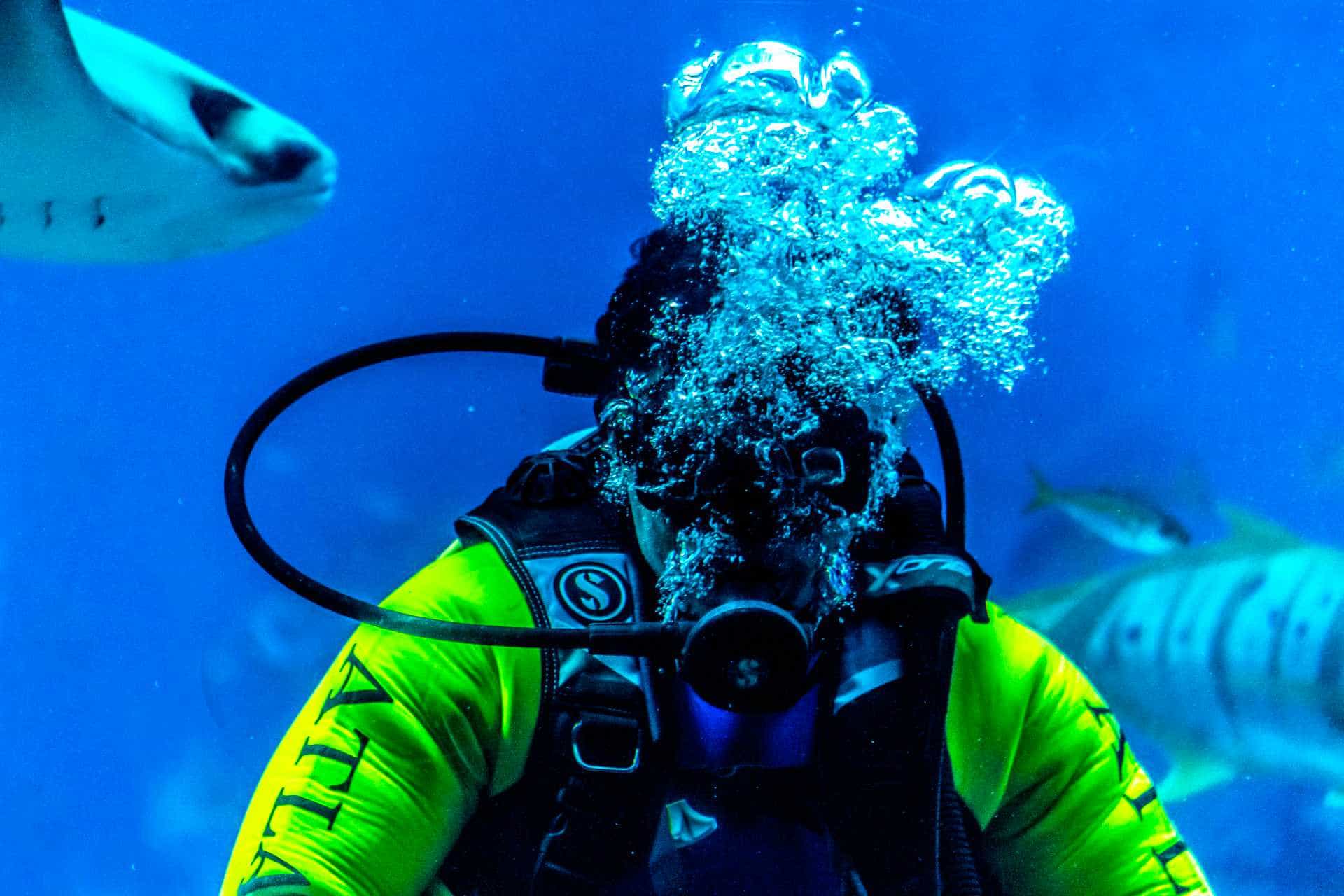 Scuba diver breathing through regulator underwater
