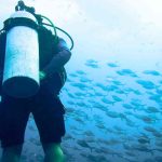 Taucher schaut unter Wasser den Fischen zu
