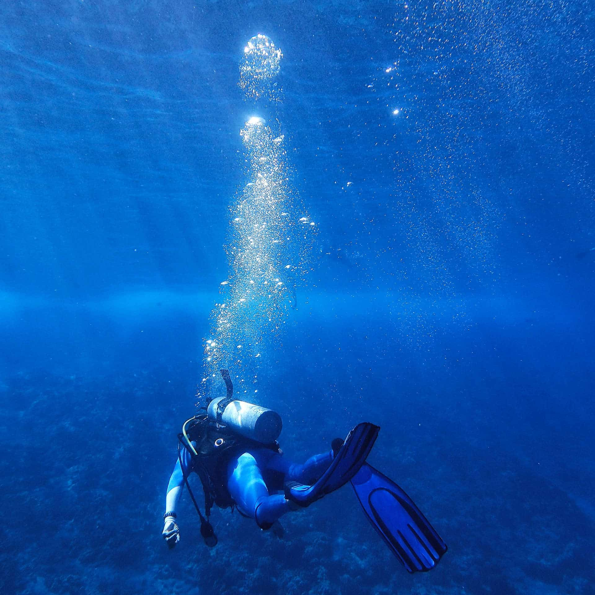 Scuba diver swimming