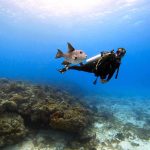 Scuba diver with fish underwater