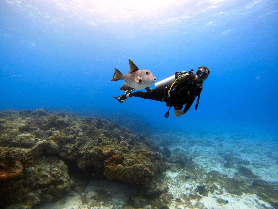 Taucher unter Wasser neben Fisch