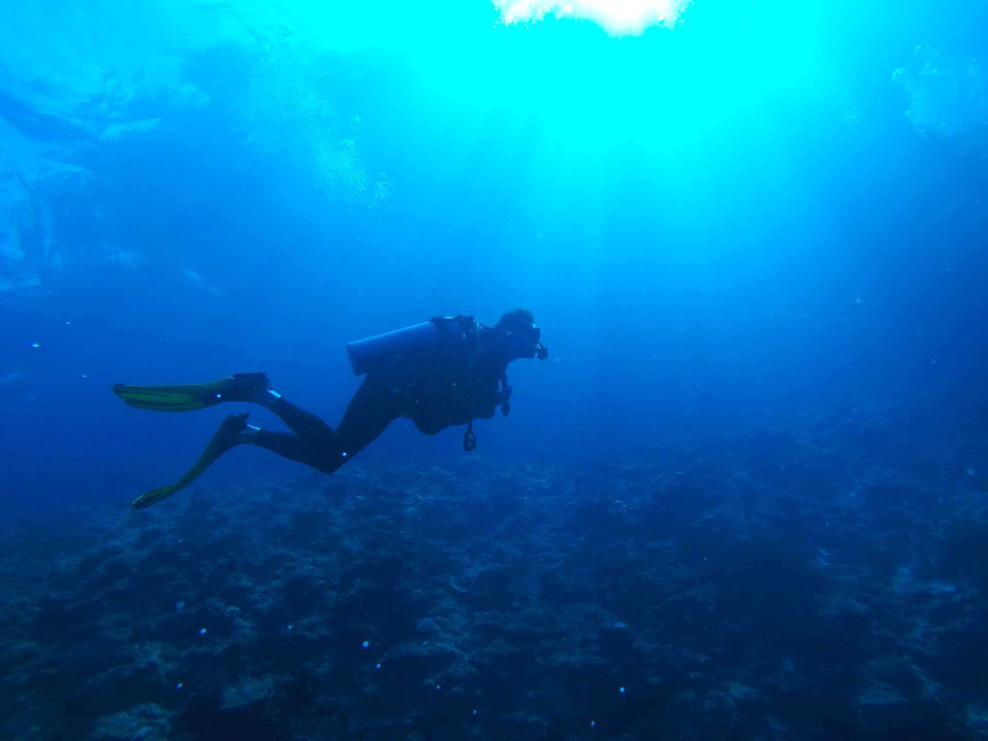 Scuba diver underwater