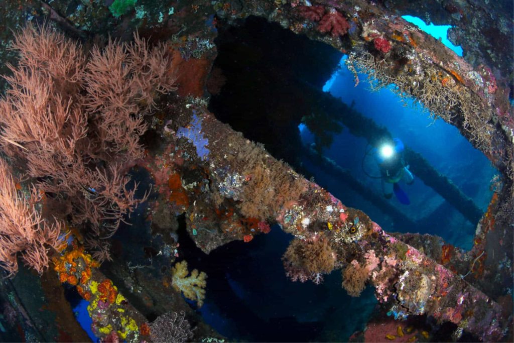 USAT liberty wreck, Bali